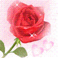 quocbao_tran