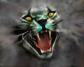 blackpuma