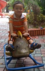 giangndyt