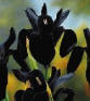 Black__Orchid