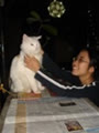 babycat2910