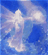 thuong_nho_nguoi_dung