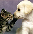 Thien_Lam