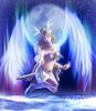 traitim_vo