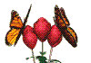 han_linh