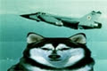 FoxHound