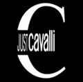 LouisII