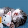 nomeames_tiamo