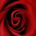 rosamariolove