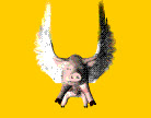 flamingo7411