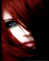 spy_X