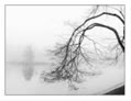 hanoi_autumn_gold