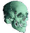 hot_rock_boy