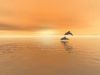 autumn2582002