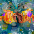 concacanlon