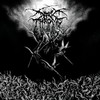 rainingblood