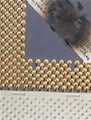 overclocker