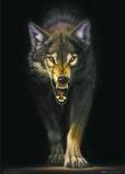 w_wolf