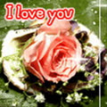 hanguyen29