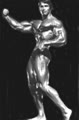 Arnold_Schwarzenegger