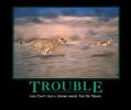 I_love_troubles