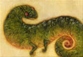 liquid_salamander