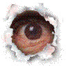 la_vie_est_poubelle_new