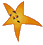 souther_star