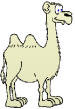 super_camel_v1