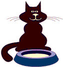 alleycat