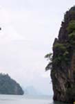 tuongtu4