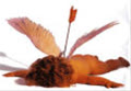 lonely_cupid