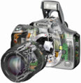 Digital_Science