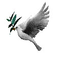 tranminhduc_kttv