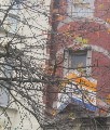 sac_xanh