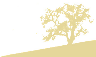 BSC
