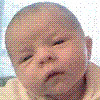 HoaMII