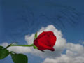 dang_tieu_binh