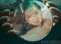 botbienxinh