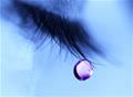blue_sun0209