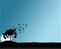 windy_days