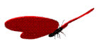 xuongronghoa