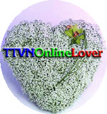 TTVNOnlineLover