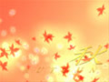 intoDream