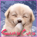 sweetiecutie