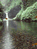 bui_ngu_yen