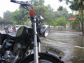virgo298