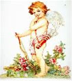 stupid_cupid_1402