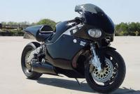 baga301