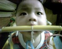 cong46kd4